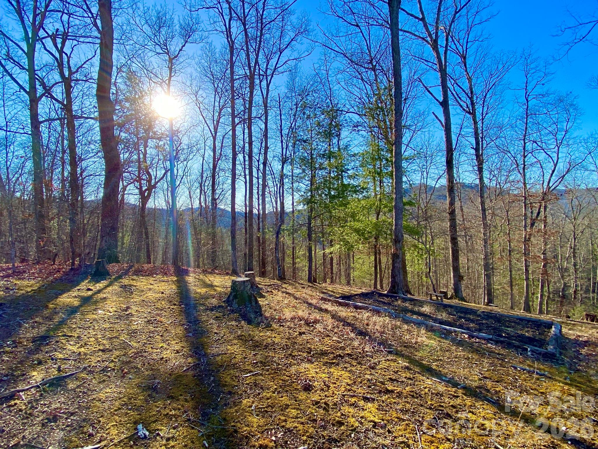 288 Rebel Drive Hot Springs NC 28743