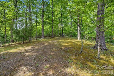 288 Rebel Drive Hot Springs NC 28743