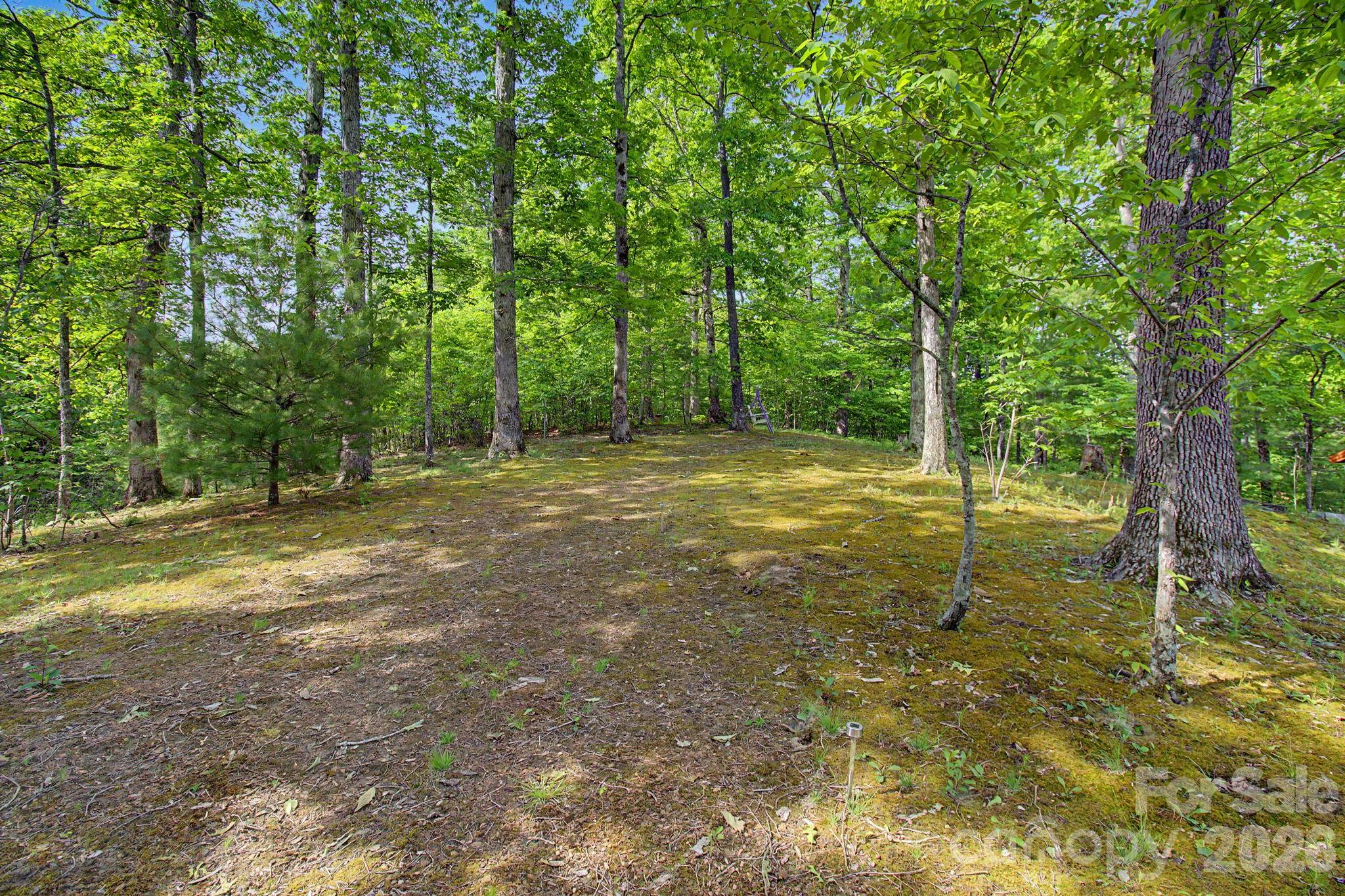 288 Rebel Drive Hot Springs NC 28743