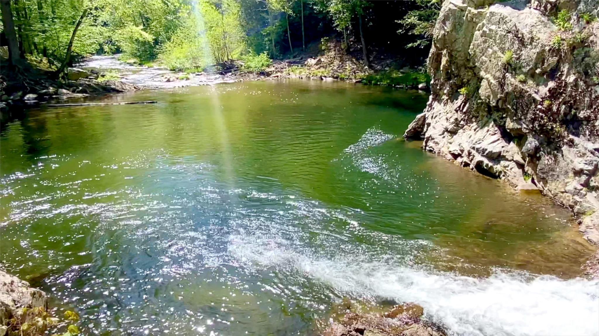 288 Rebel Drive Hot Springs NC 28743
