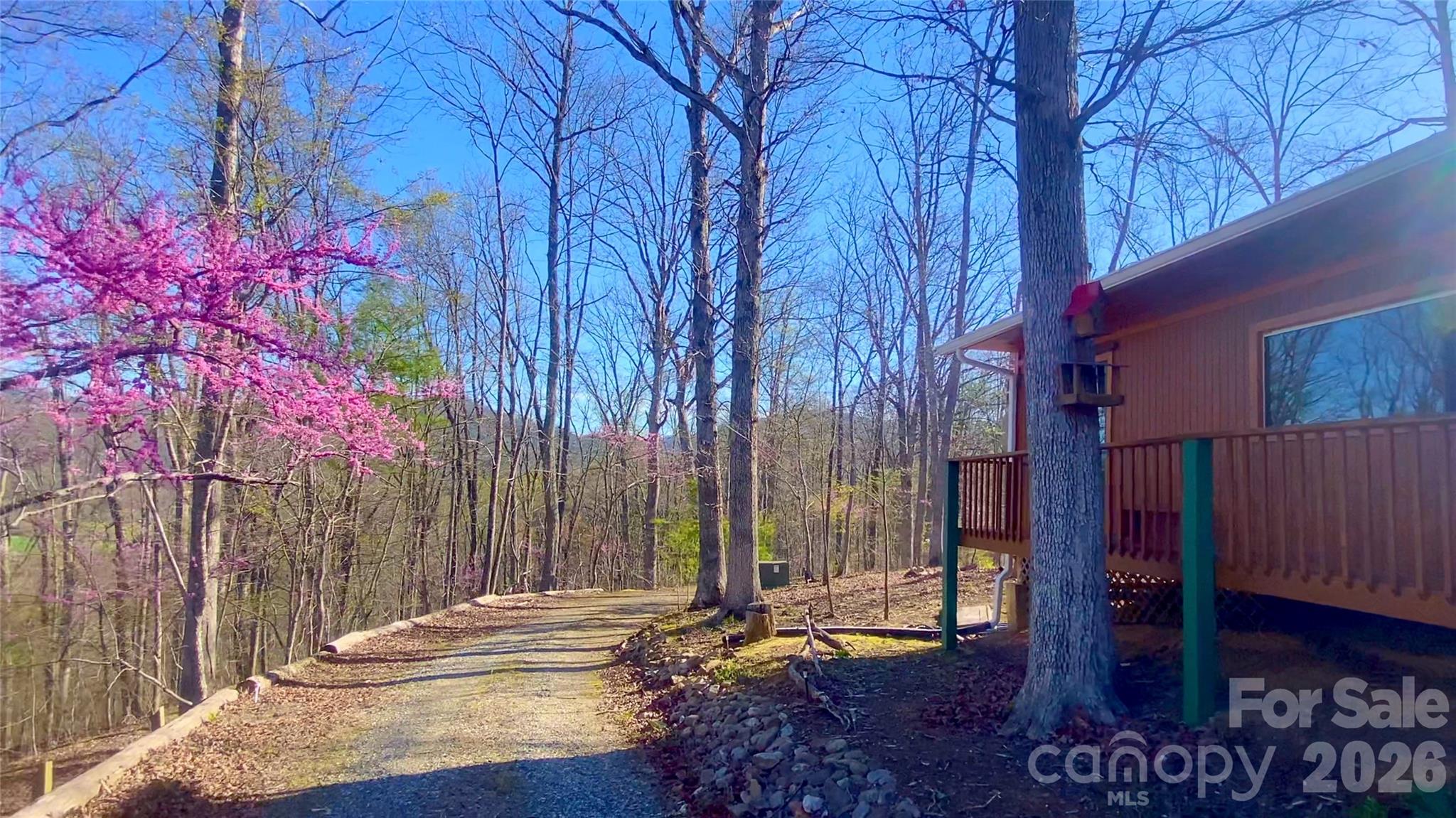 288 Rebel Drive Hot Springs NC 28743