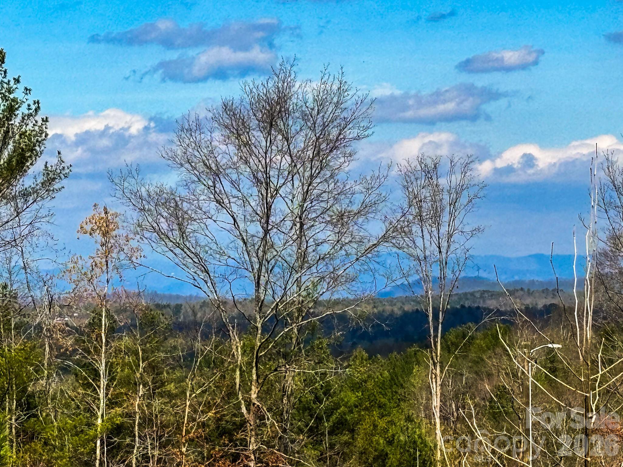 4277 Chinquapin Circle Lenoir NC 28645