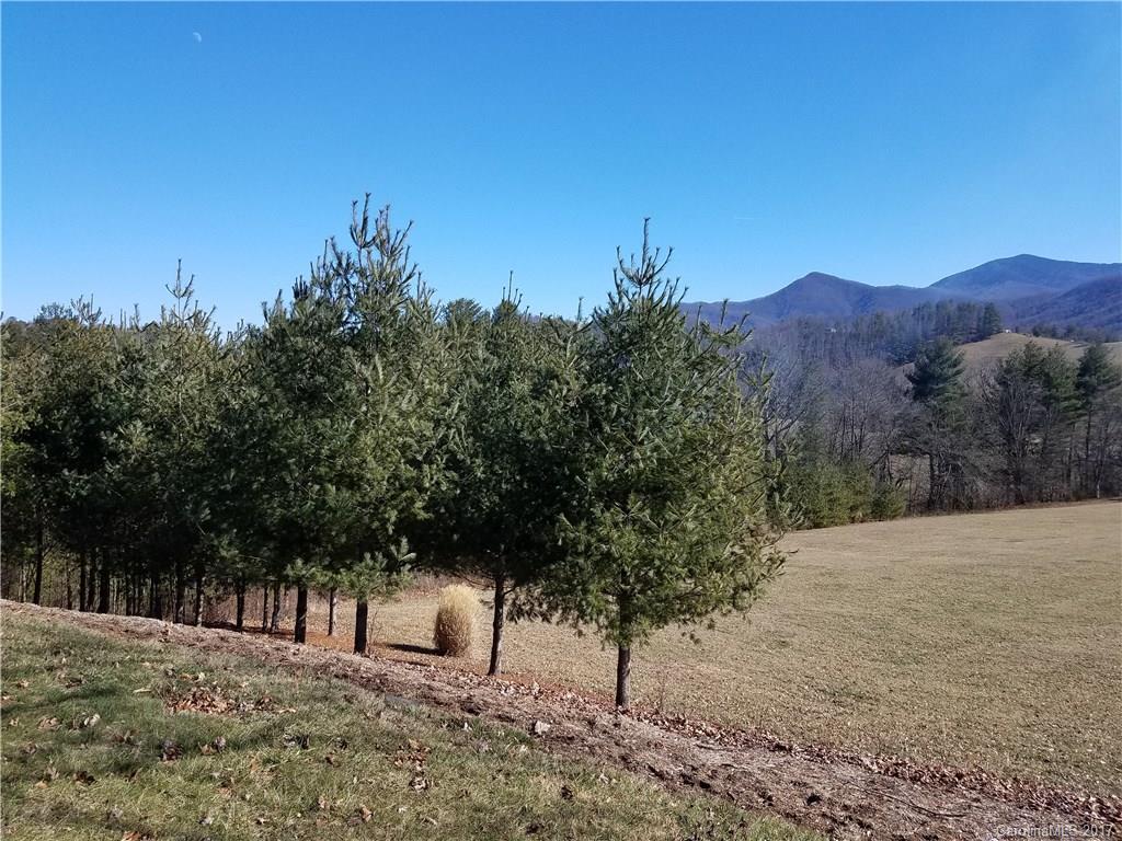 112 Charlie Brown Road Burnsville NC 28714