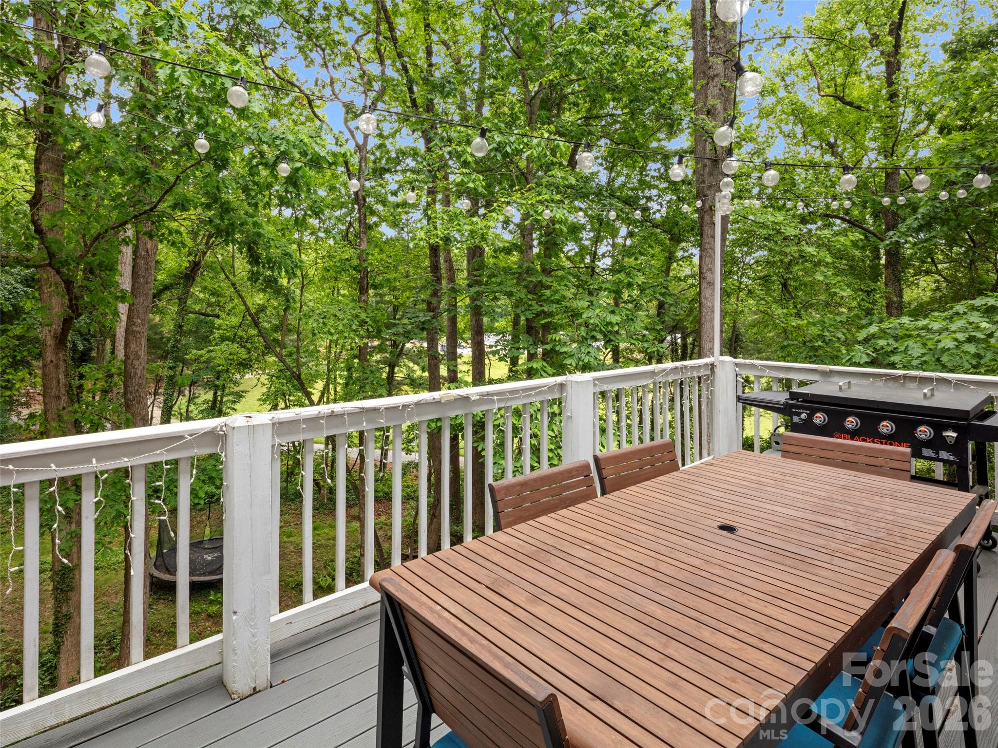 1130 New Castle Court Asheville NC 28803