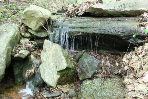337 Roberson School Road Moravian Falls NC 28654