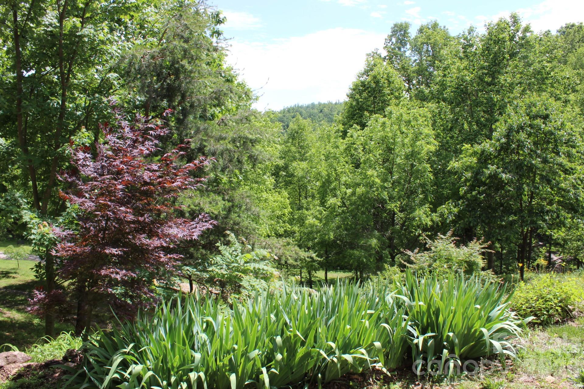 337 Roberson School Road Moravian Falls NC 28654