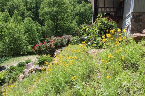 337 Roberson School Road Moravian Falls NC 28654