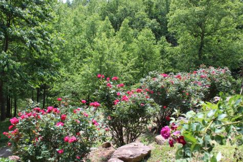 337 Roberson School Road Moravian Falls NC 28654