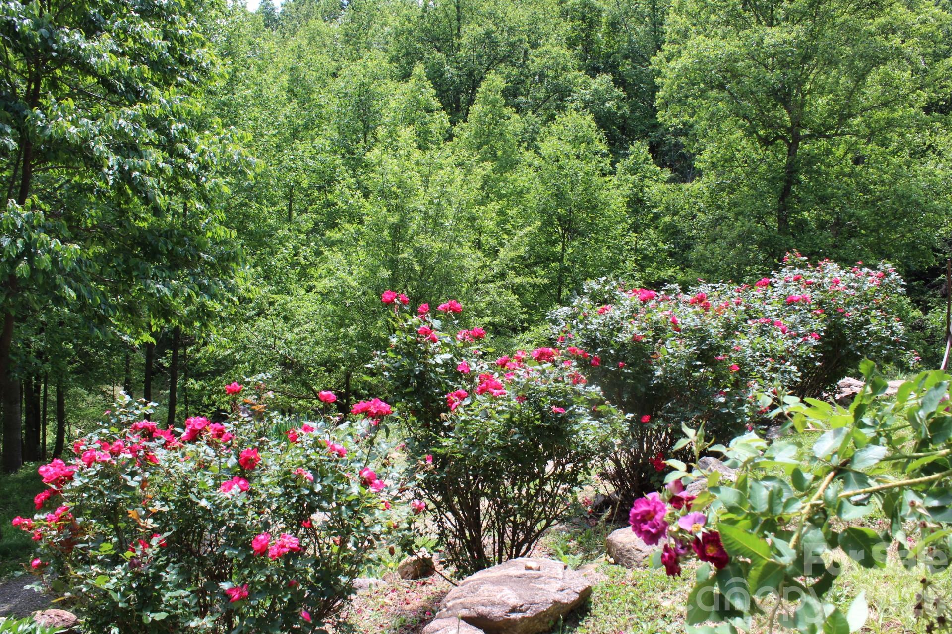 337 Roberson School Road Moravian Falls NC 28654