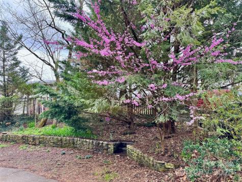 297 Hillside Street Asheville NC 28801