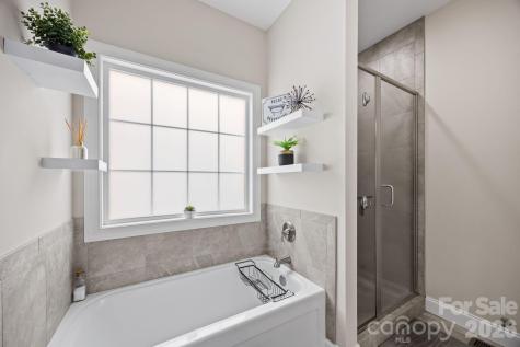 3 Dreambird Drive Leicester NC 28748