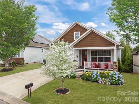 3 Dreambird Drive Leicester NC 28748