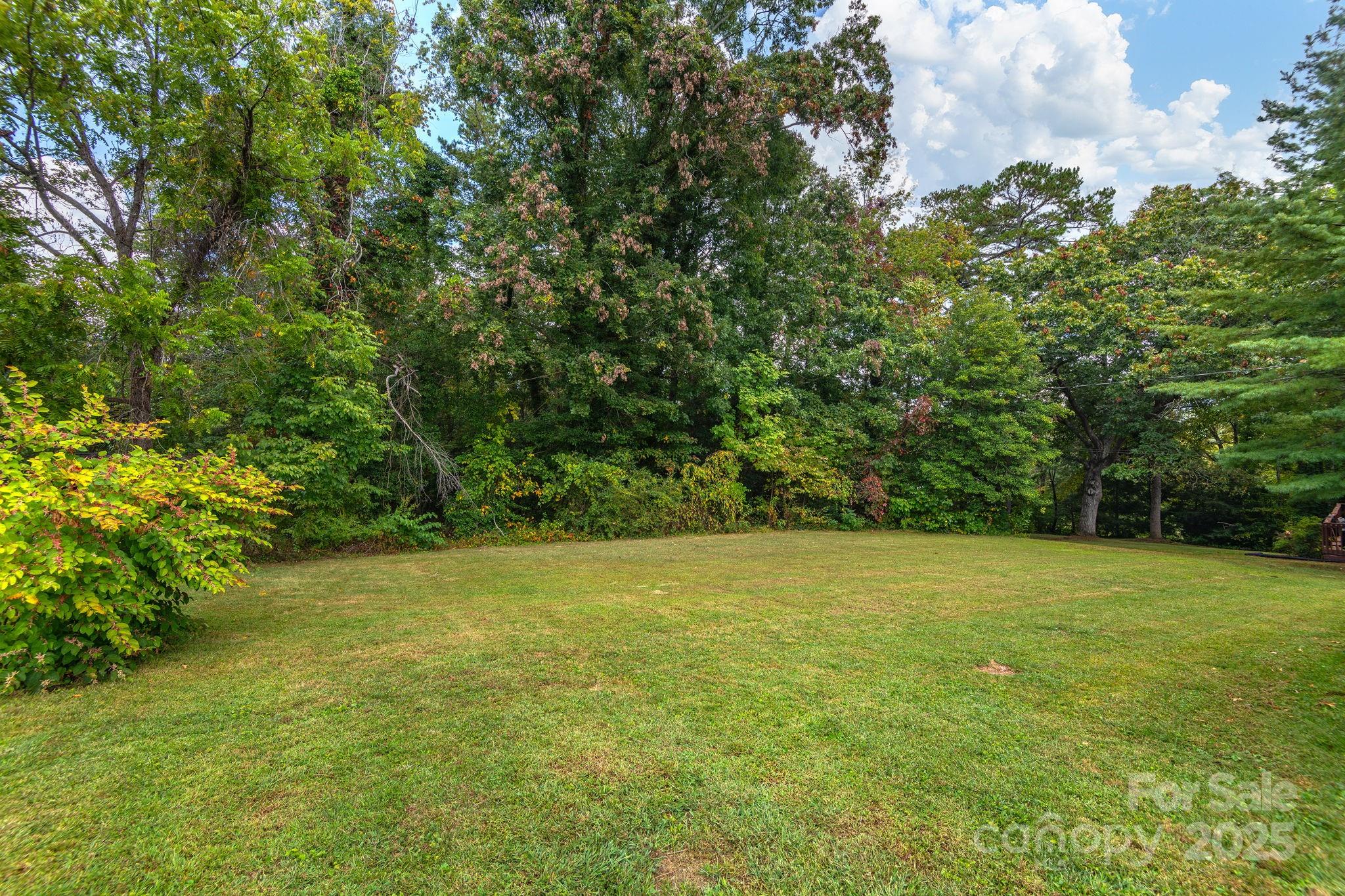 316 Old Haw Creek Road Asheville NC 28805