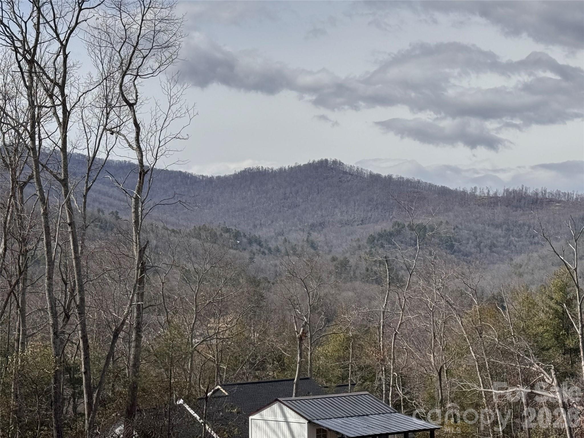 35 Azalea Drive Spruce Pine NC 28777