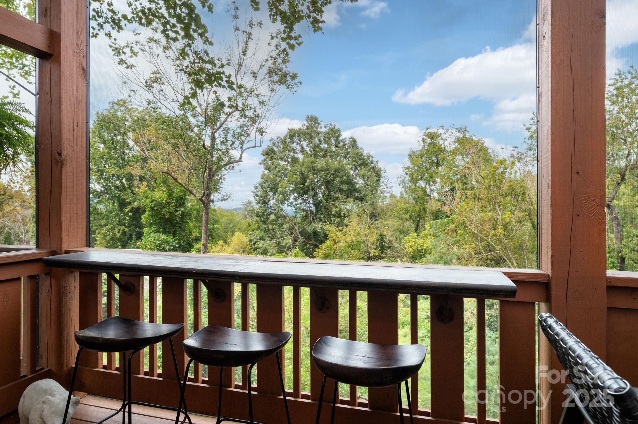 12 Sunset Drive Asheville NC 28804