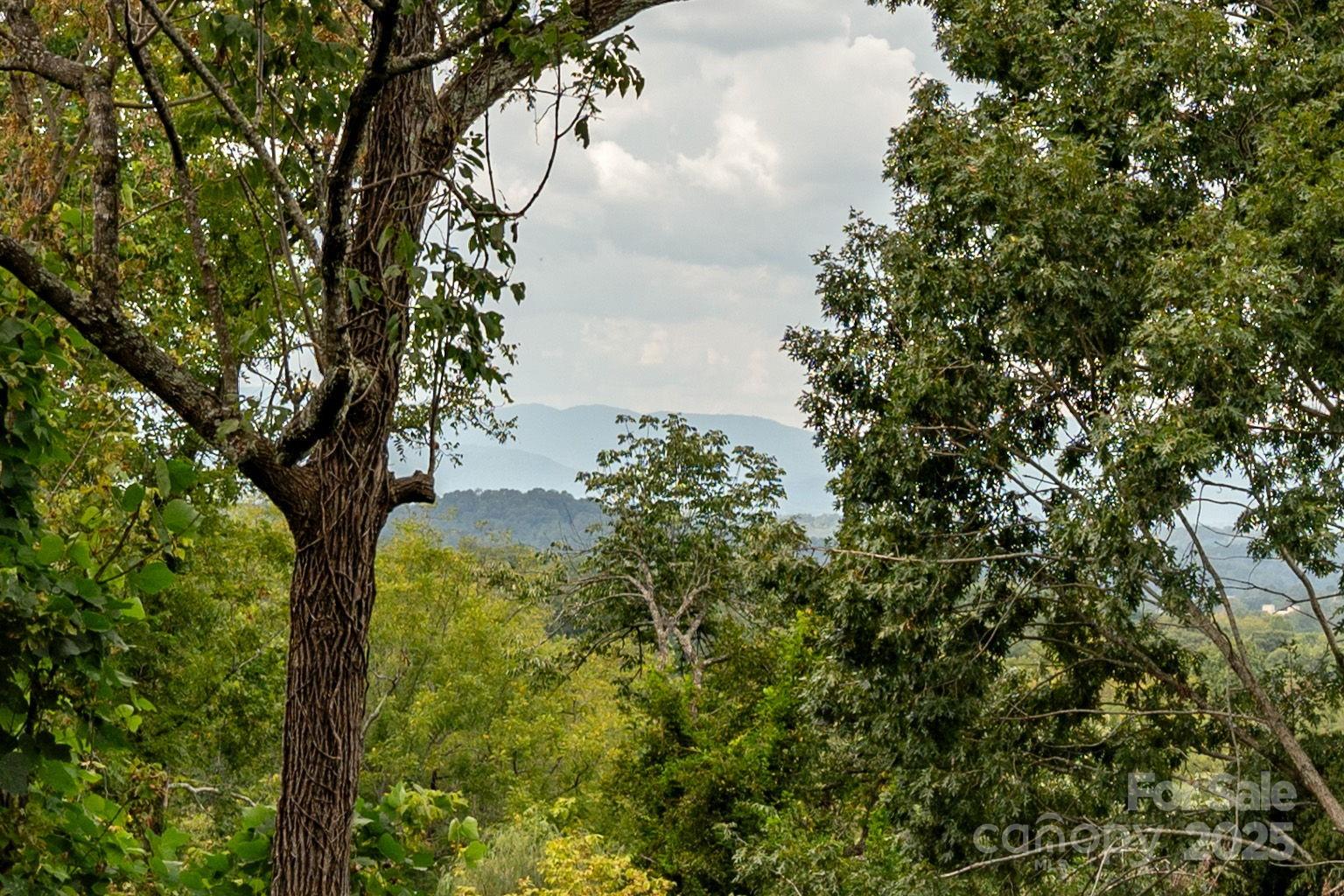 12 Sunset Drive Asheville NC 28804