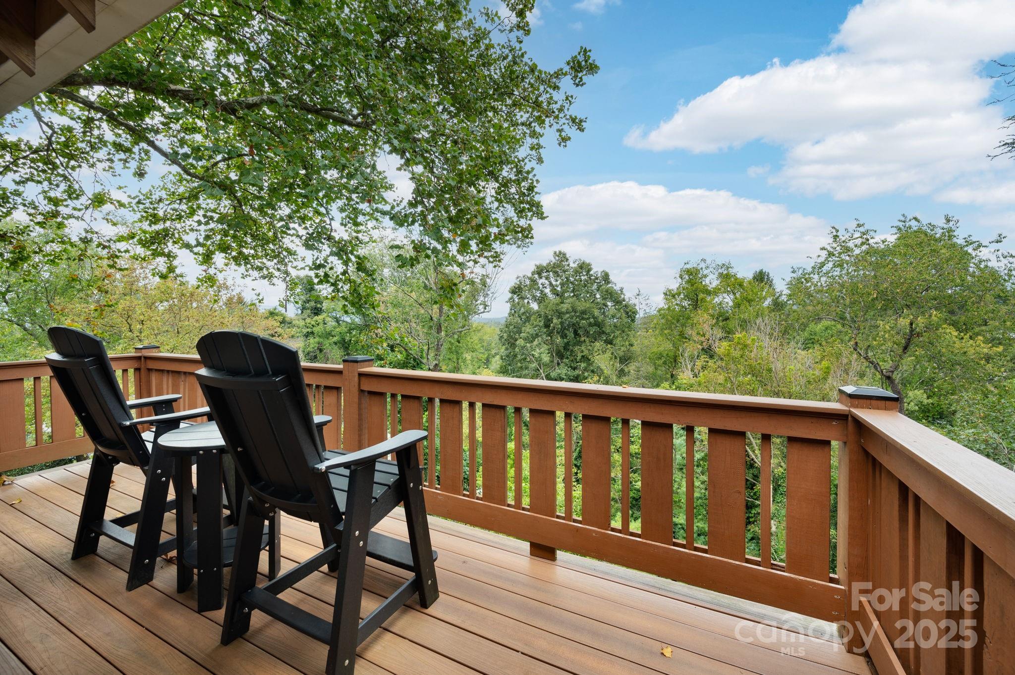 12 Sunset Drive Asheville NC 28804