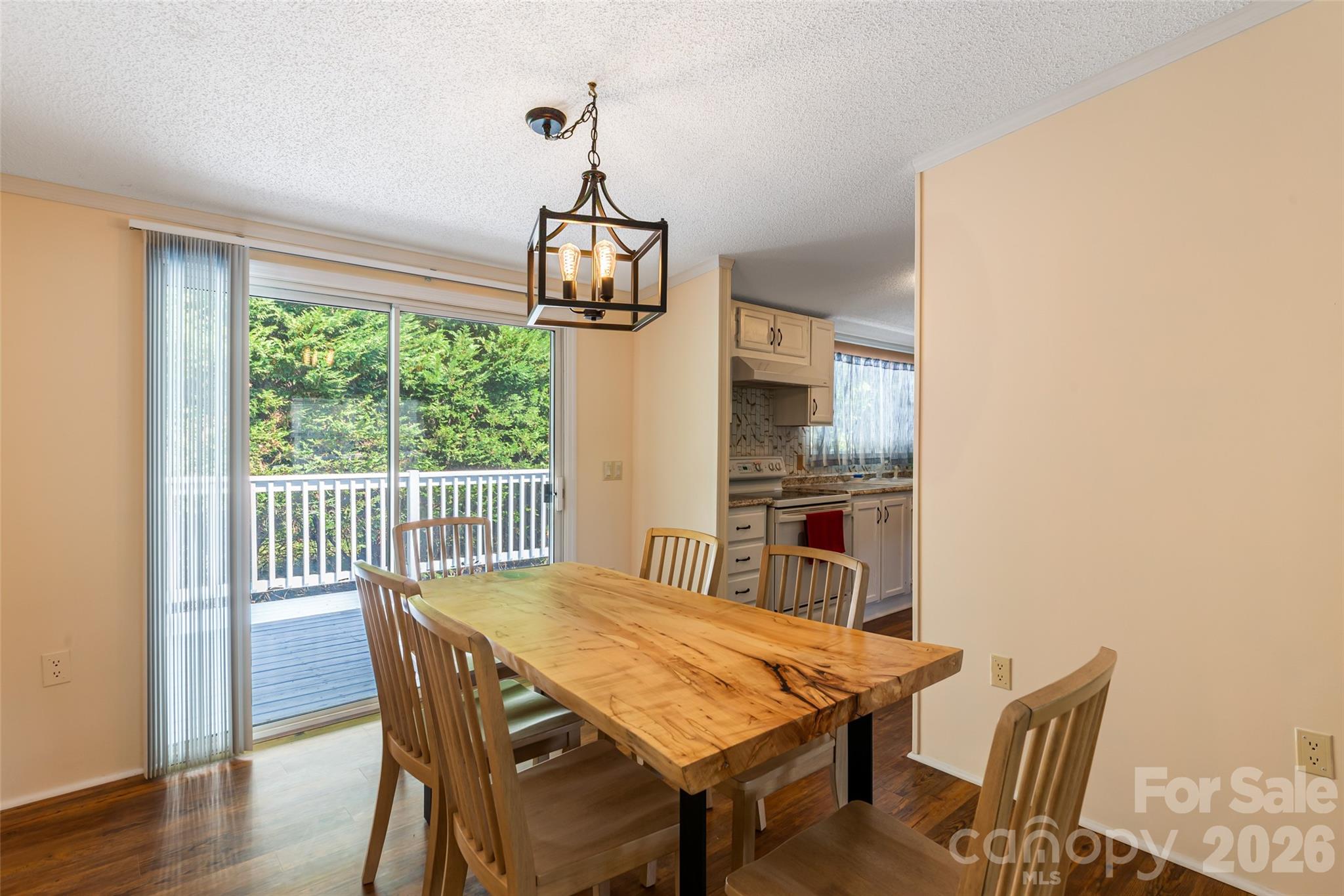 24 Asa Court Black Mountain NC 28711