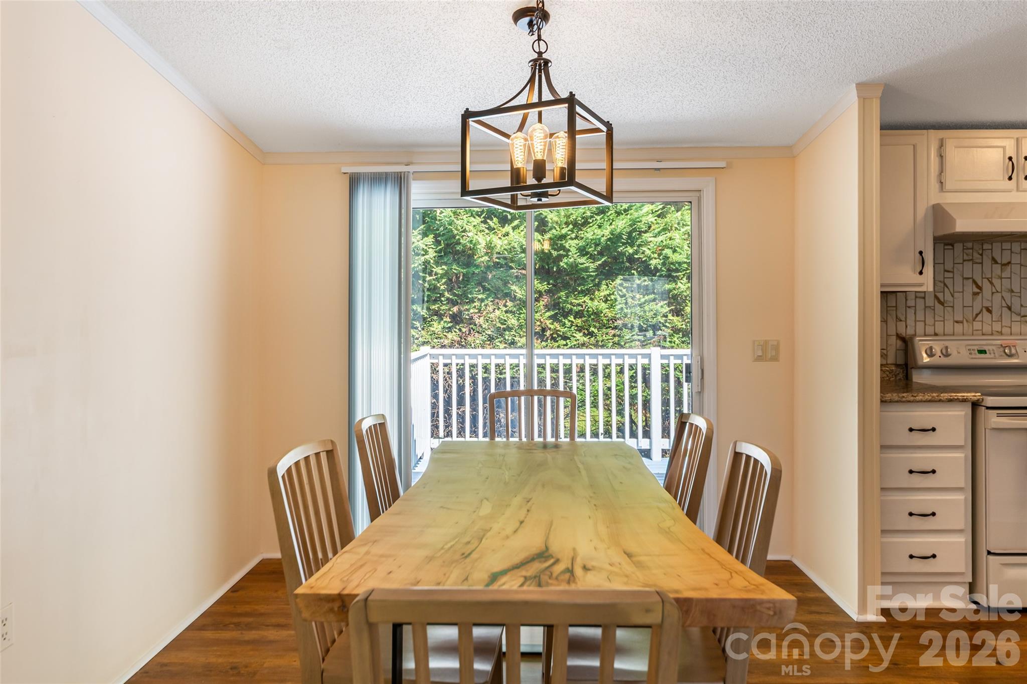 24 Asa Court Black Mountain NC 28711