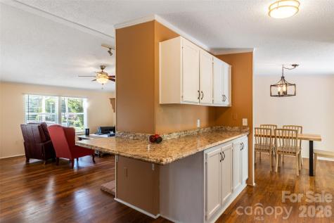 24 Asa Court Black Mountain NC 28711