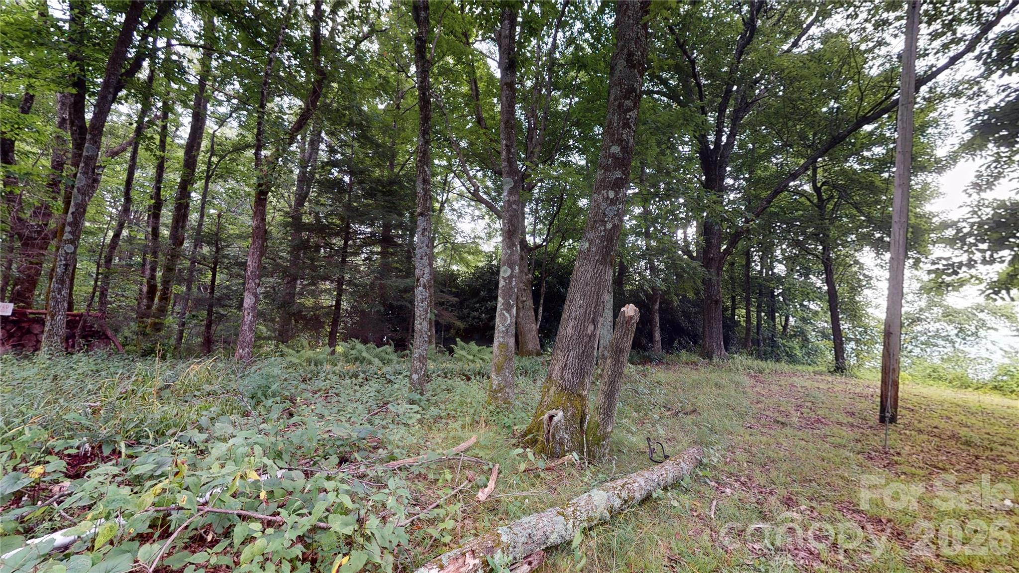 200 Osborn Knob Road Marion NC 28752