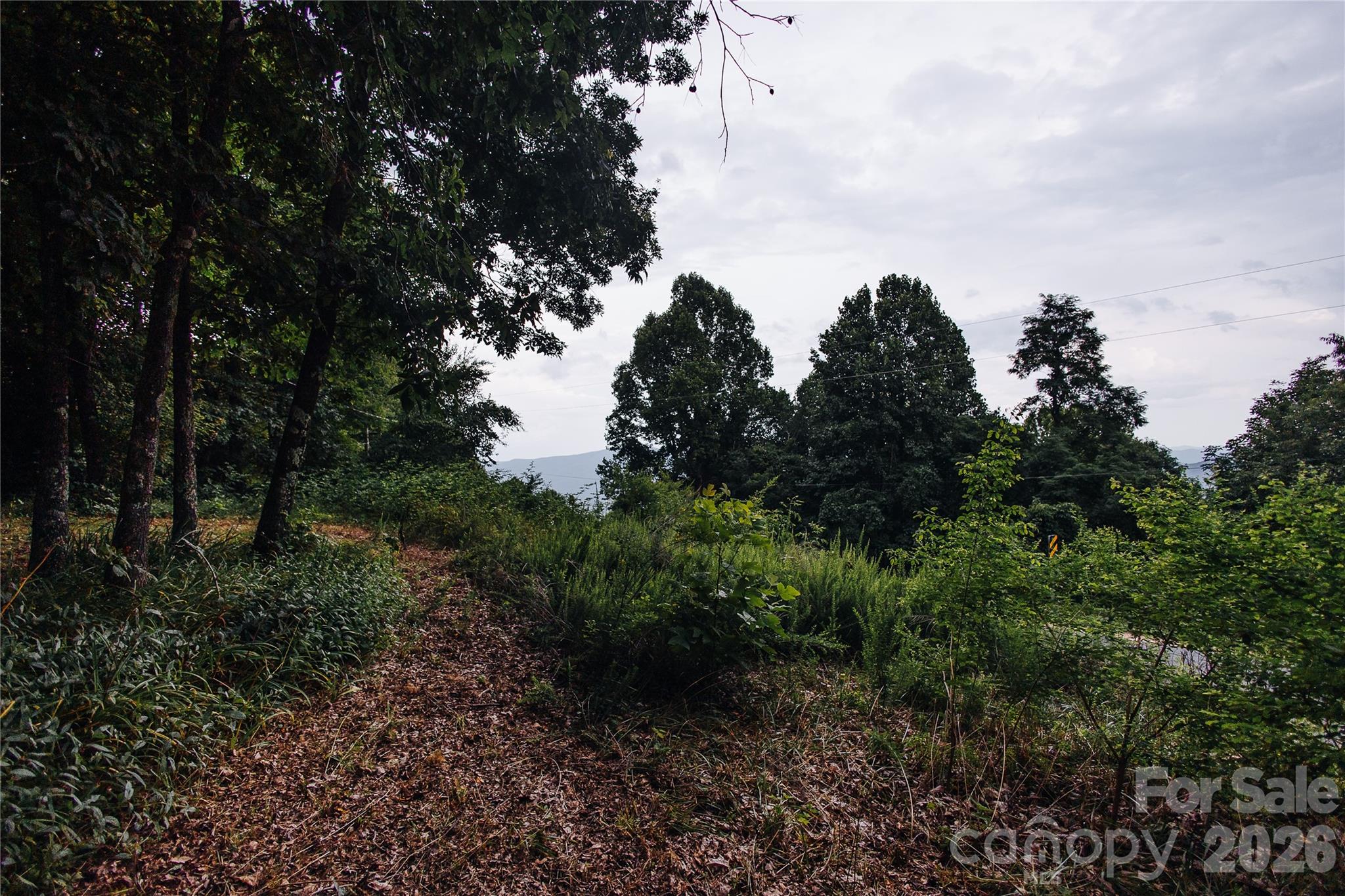 200 Osborn Knob Road Marion NC 28752