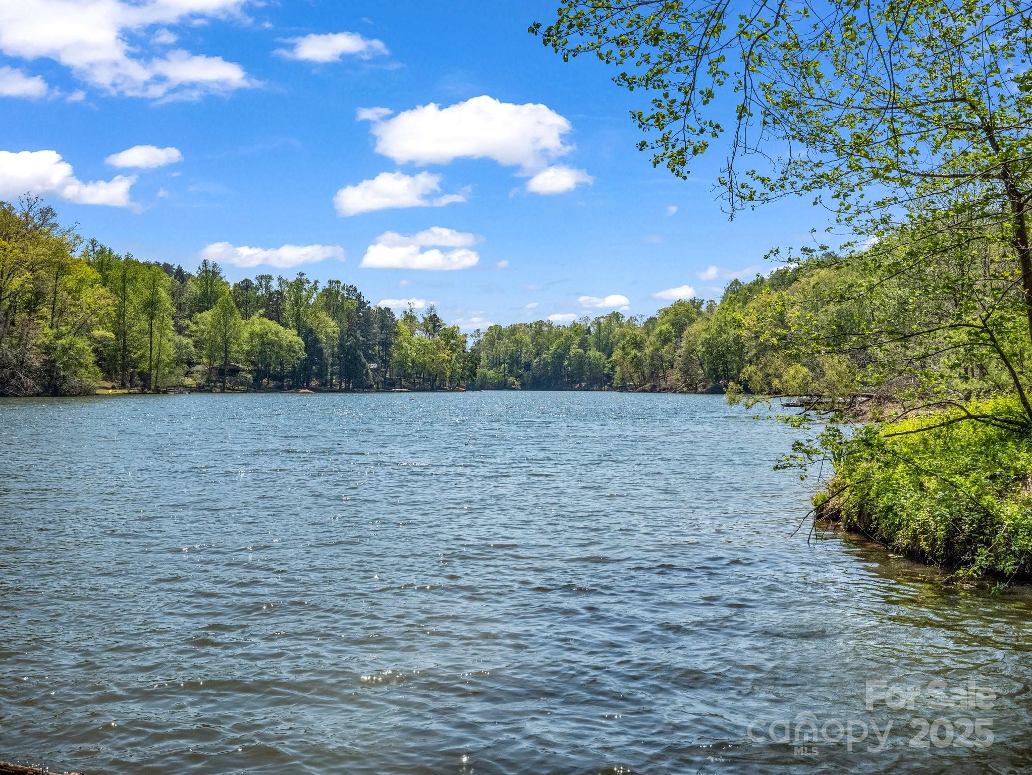 1973 Buffalo Creek Road Lake Lure NC 28746