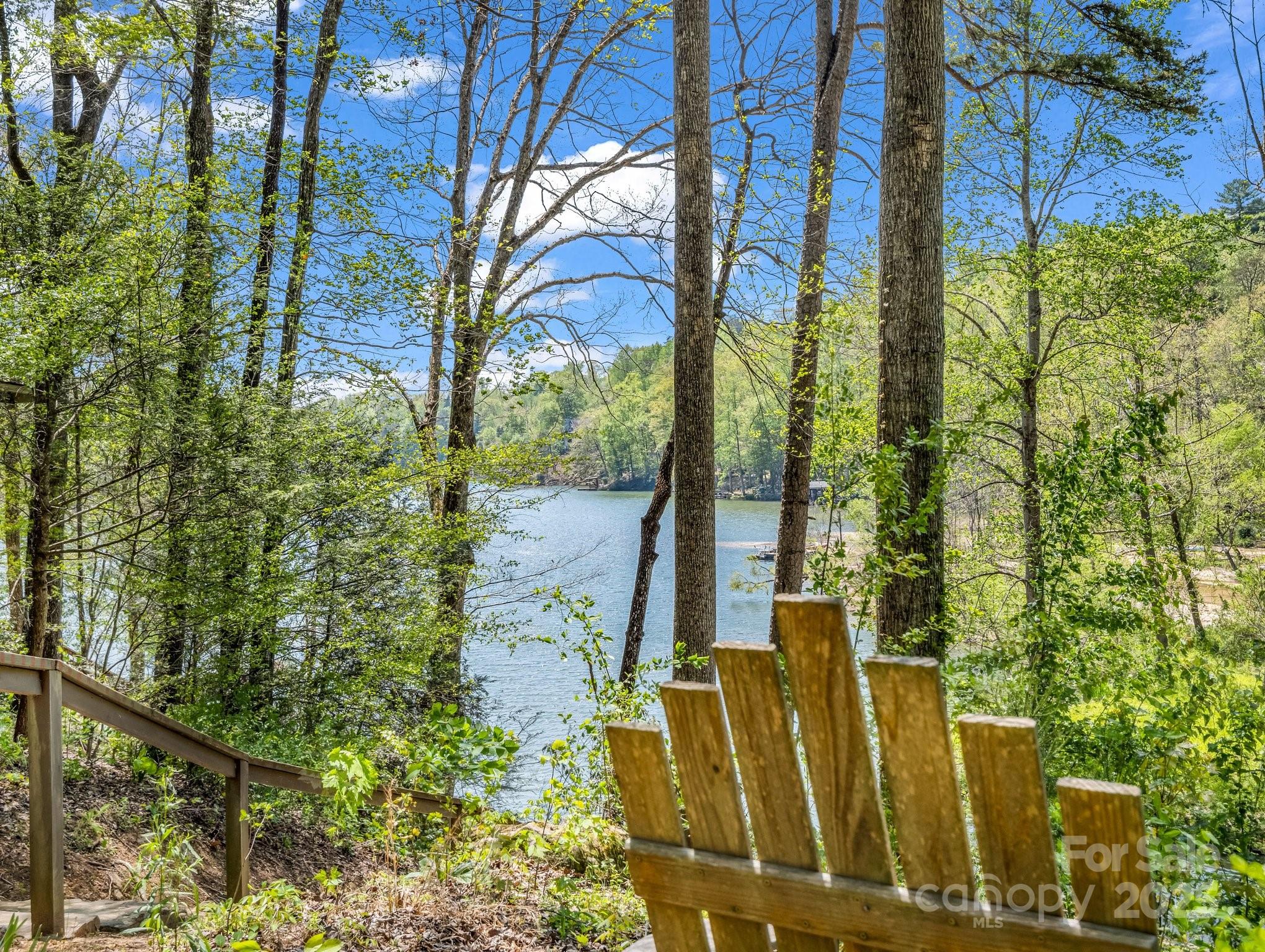 1973 Buffalo Creek Road Lake Lure NC 28746