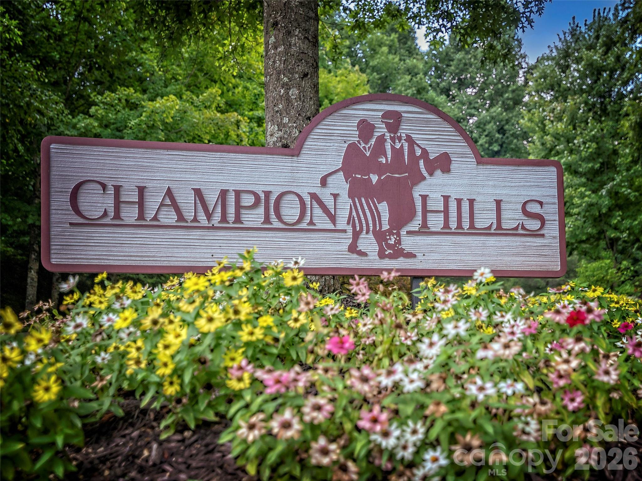 4 Lacoste Drive Hendersonville NC 28739