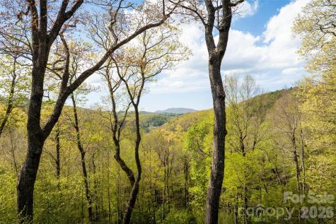 497 Black Locust Circle Blowing Rock NC 28605