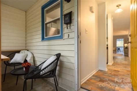 28 Spears Avenue Asheville NC 28801