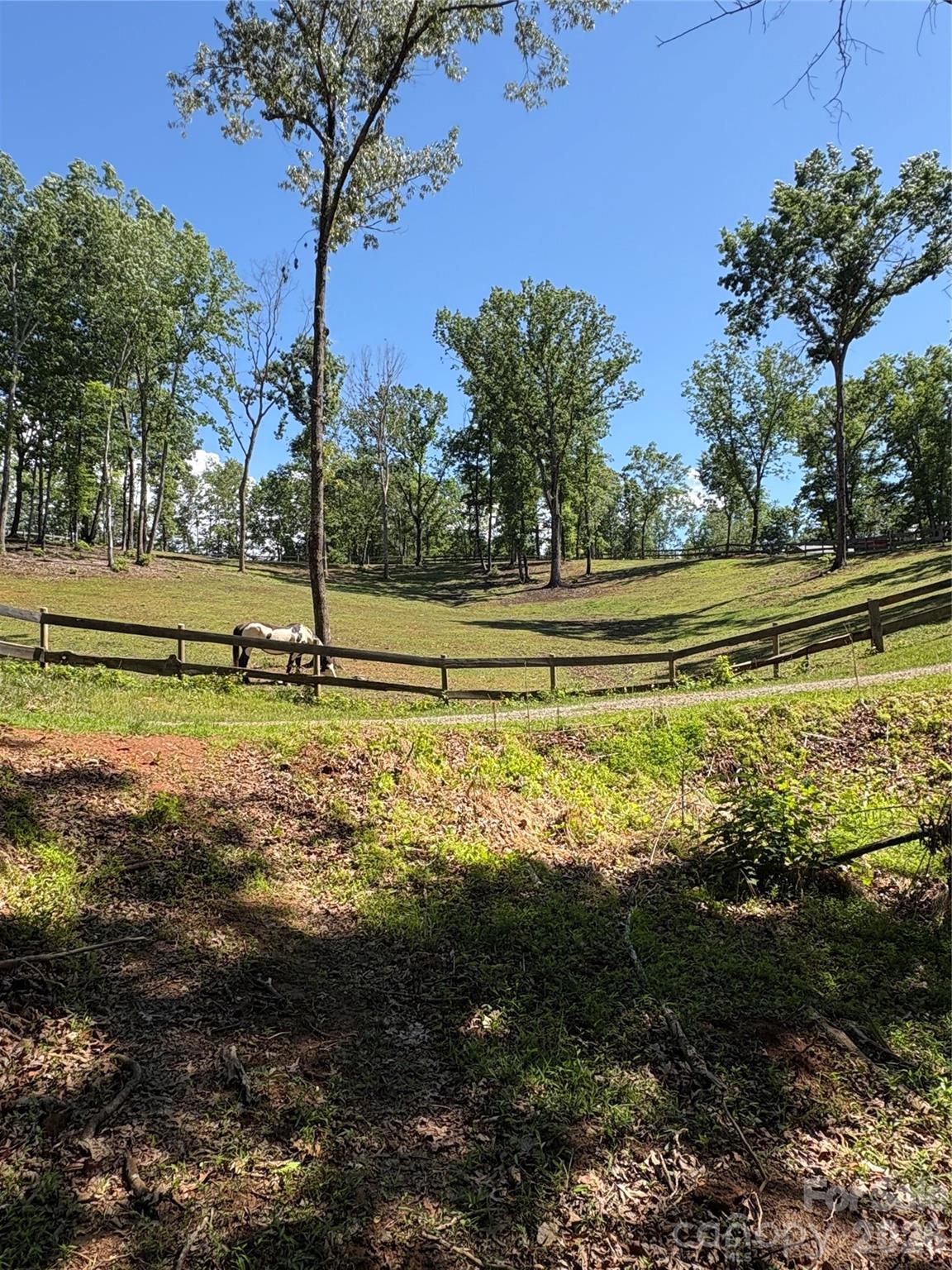 250 Burt Blackwell Road Mill Spring NC 28756