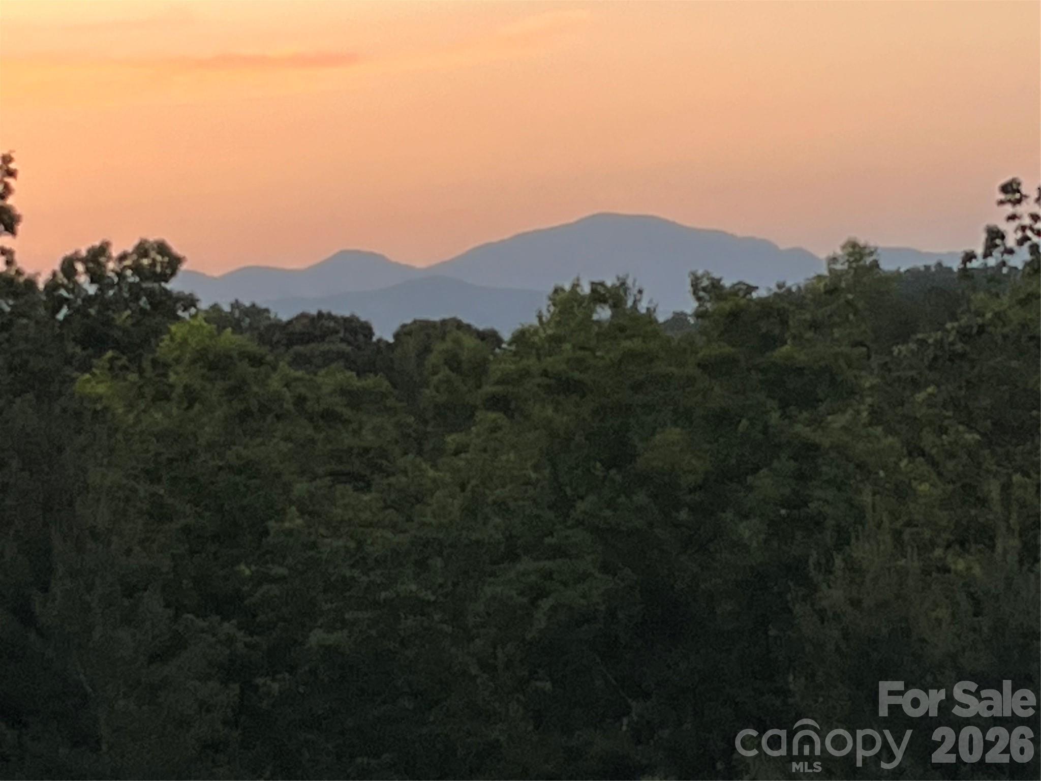 250 Burt Blackwell Road Mill Spring NC 28756