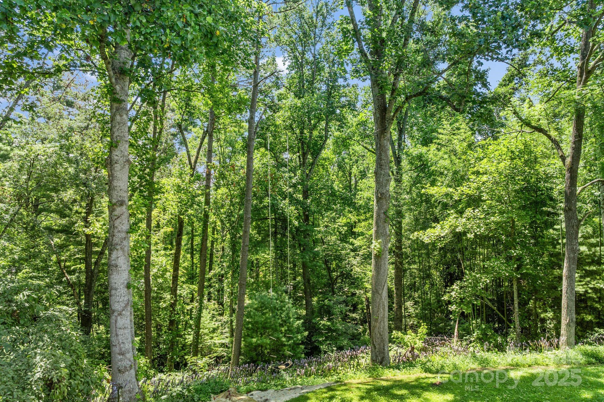 1215 Upper Brush Creek Road Fairview NC 28730