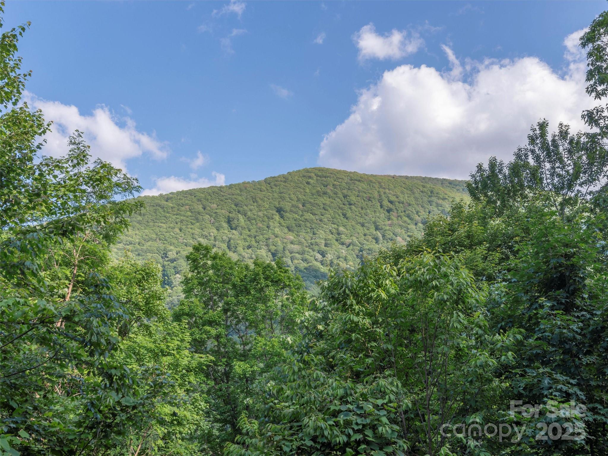 47 Tammy Drive Maggie Valley NC 28751