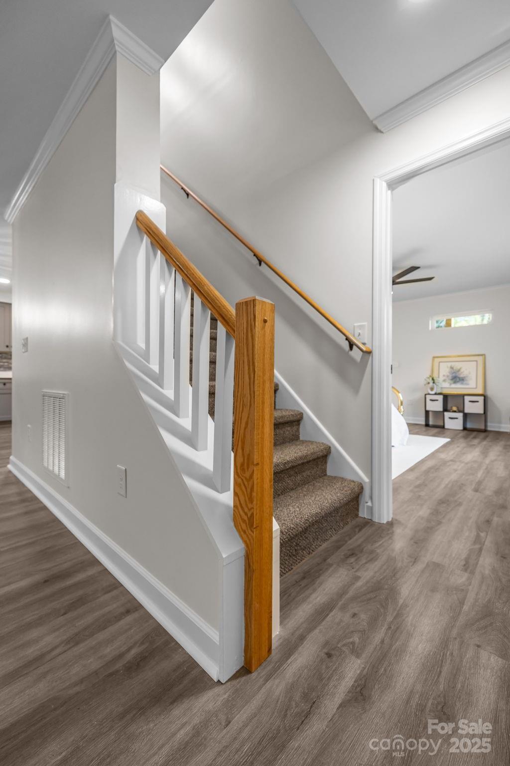 215 Mccoy Cove Black Mountain NC 28711