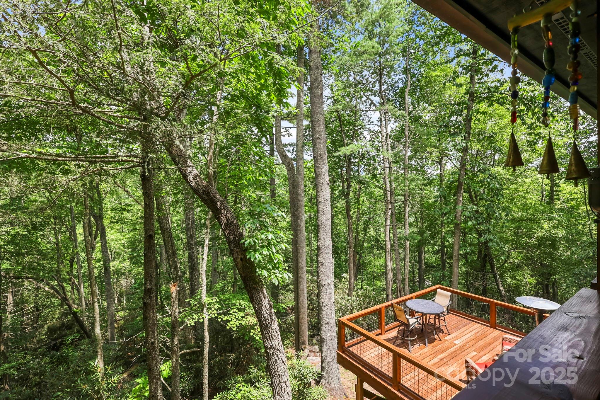 228 Woodby Ridge Road Vilas NC 28692