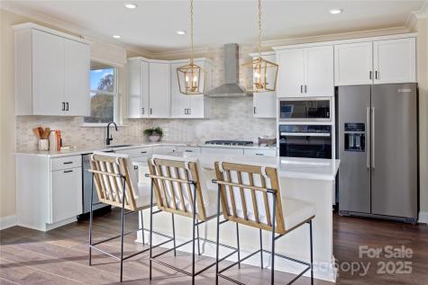 1229 Daniel Pine Drive Indian Land SC 29707