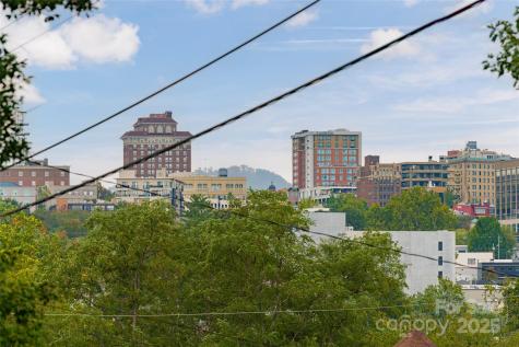 22 Pine Grove Avenue Asheville NC 28801
