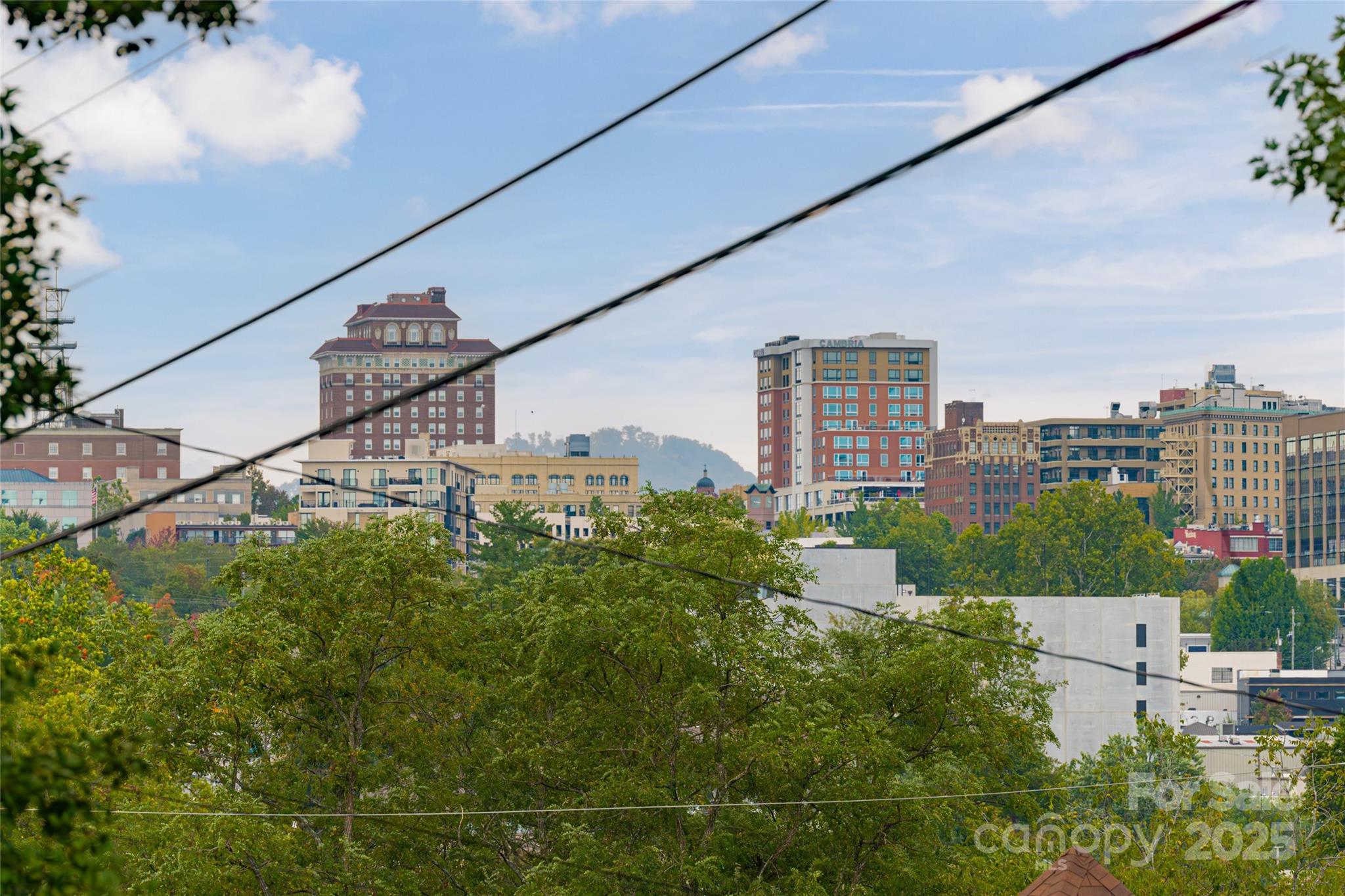 22 Pine Grove Avenue Asheville NC 28801