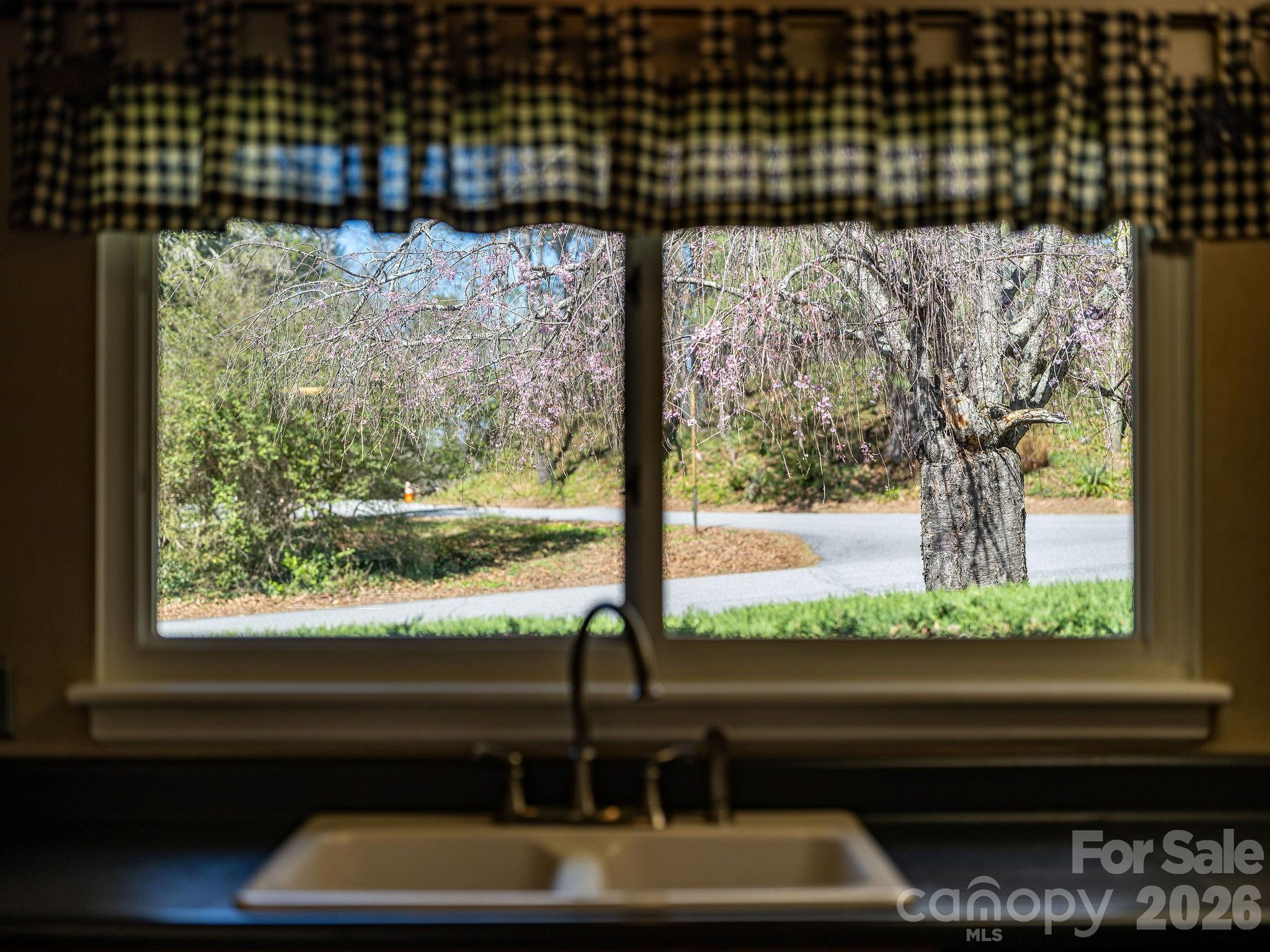 4 Dogwood Road Asheville NC 28804