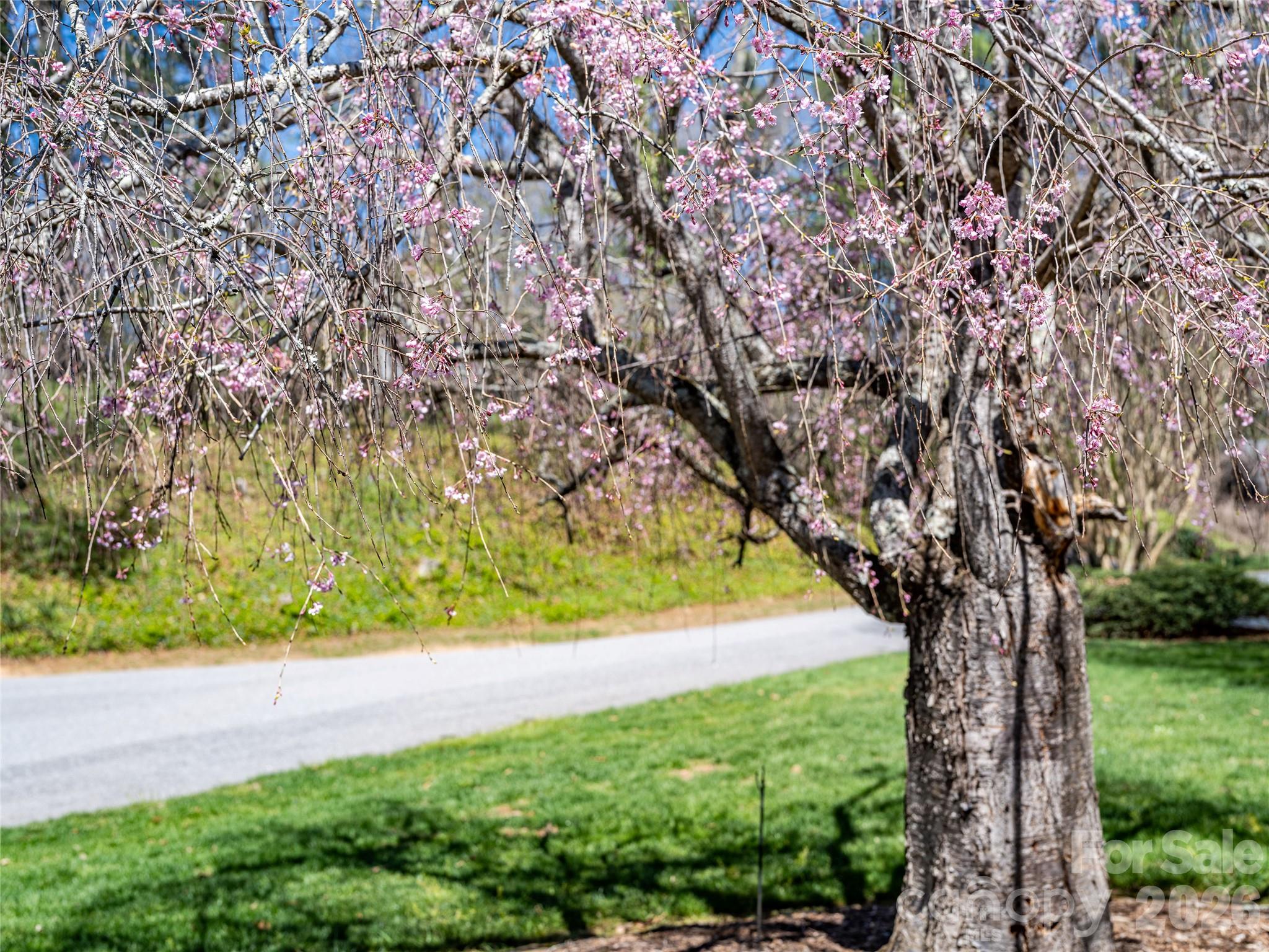 4 Dogwood Road Asheville NC 28804