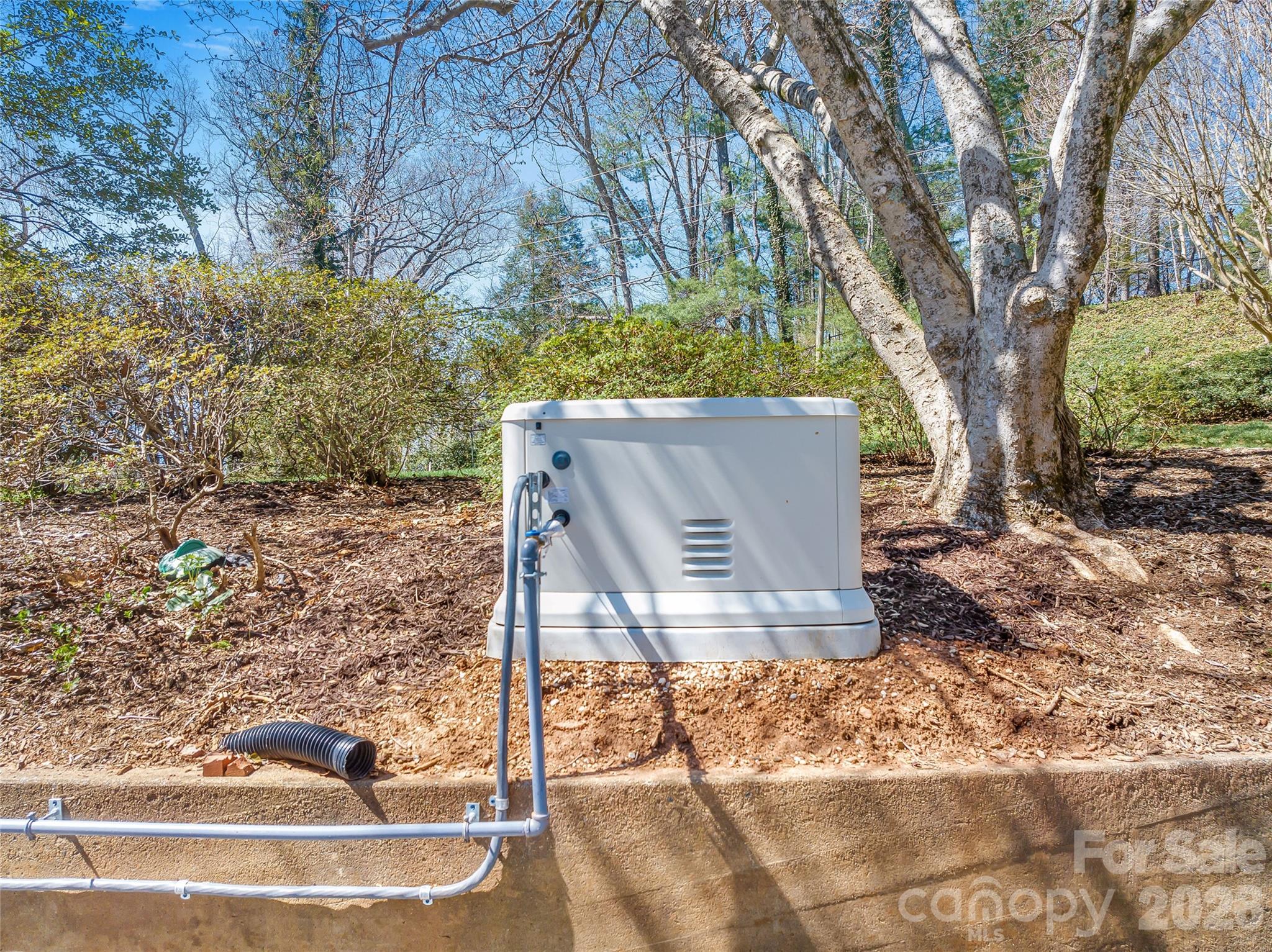 4 Dogwood Road Asheville NC 28804