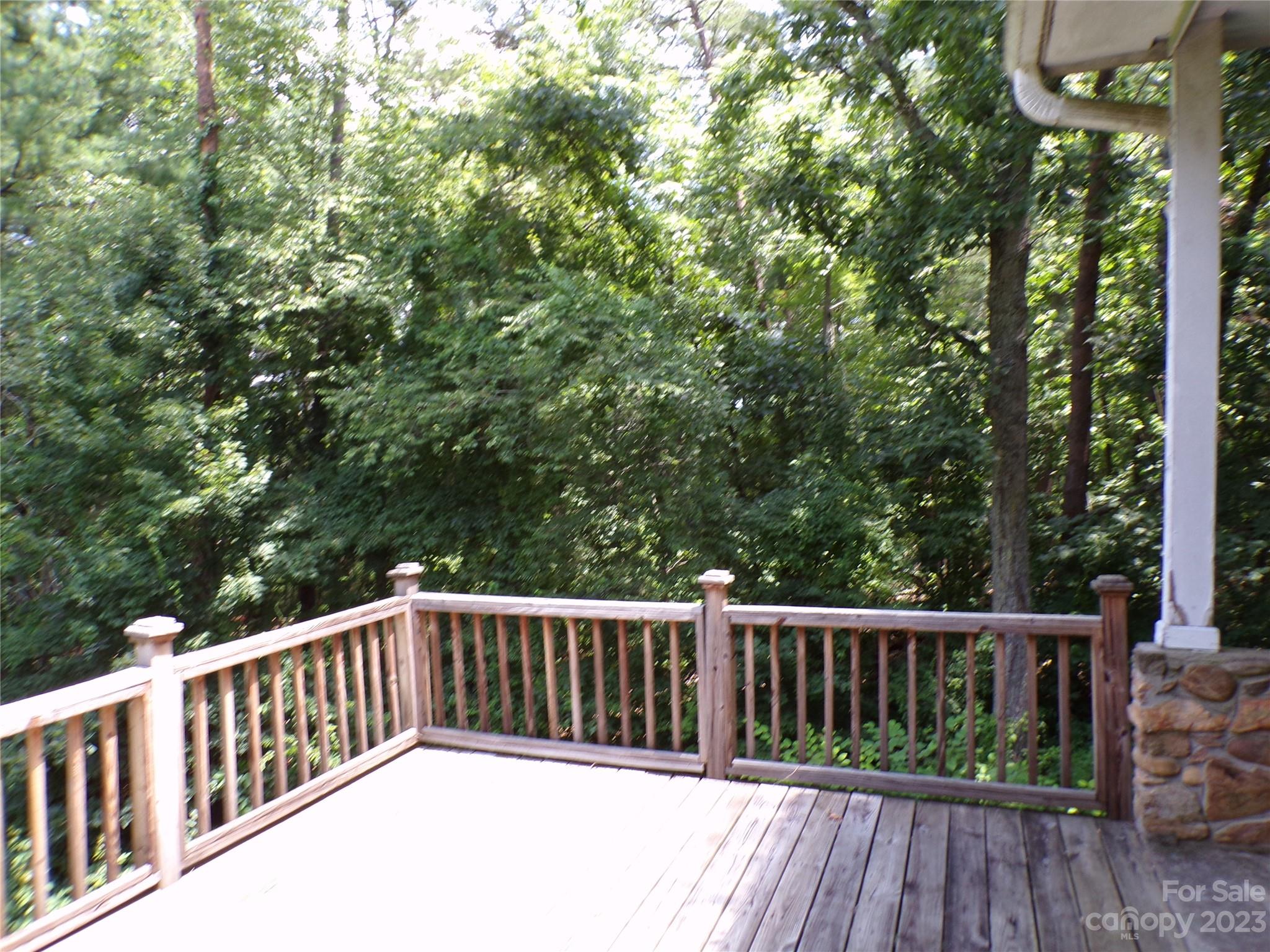 41 Hornot Circle Asheville NC 28806