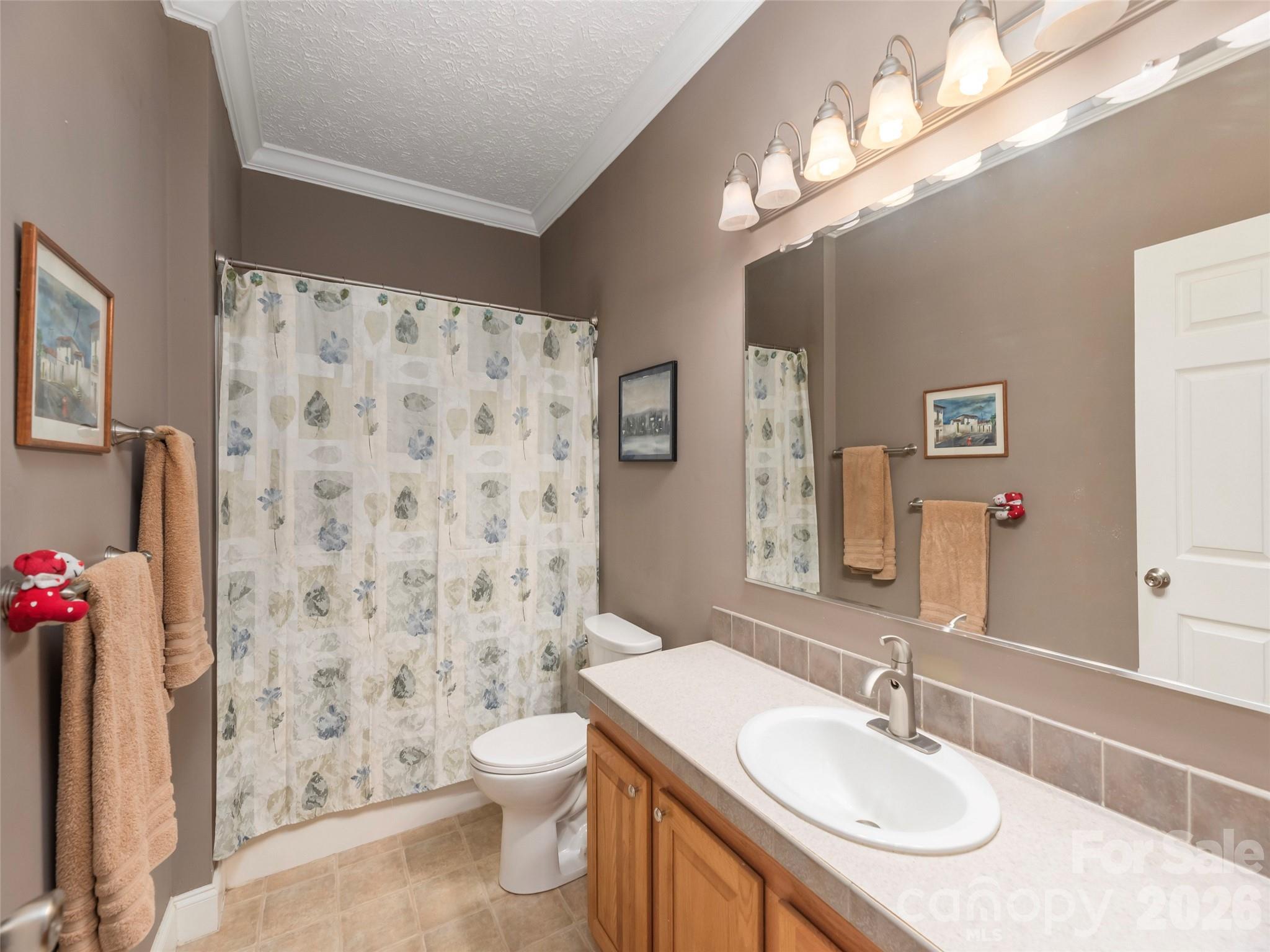 16 Chinaberry Court Waynesville NC 28785