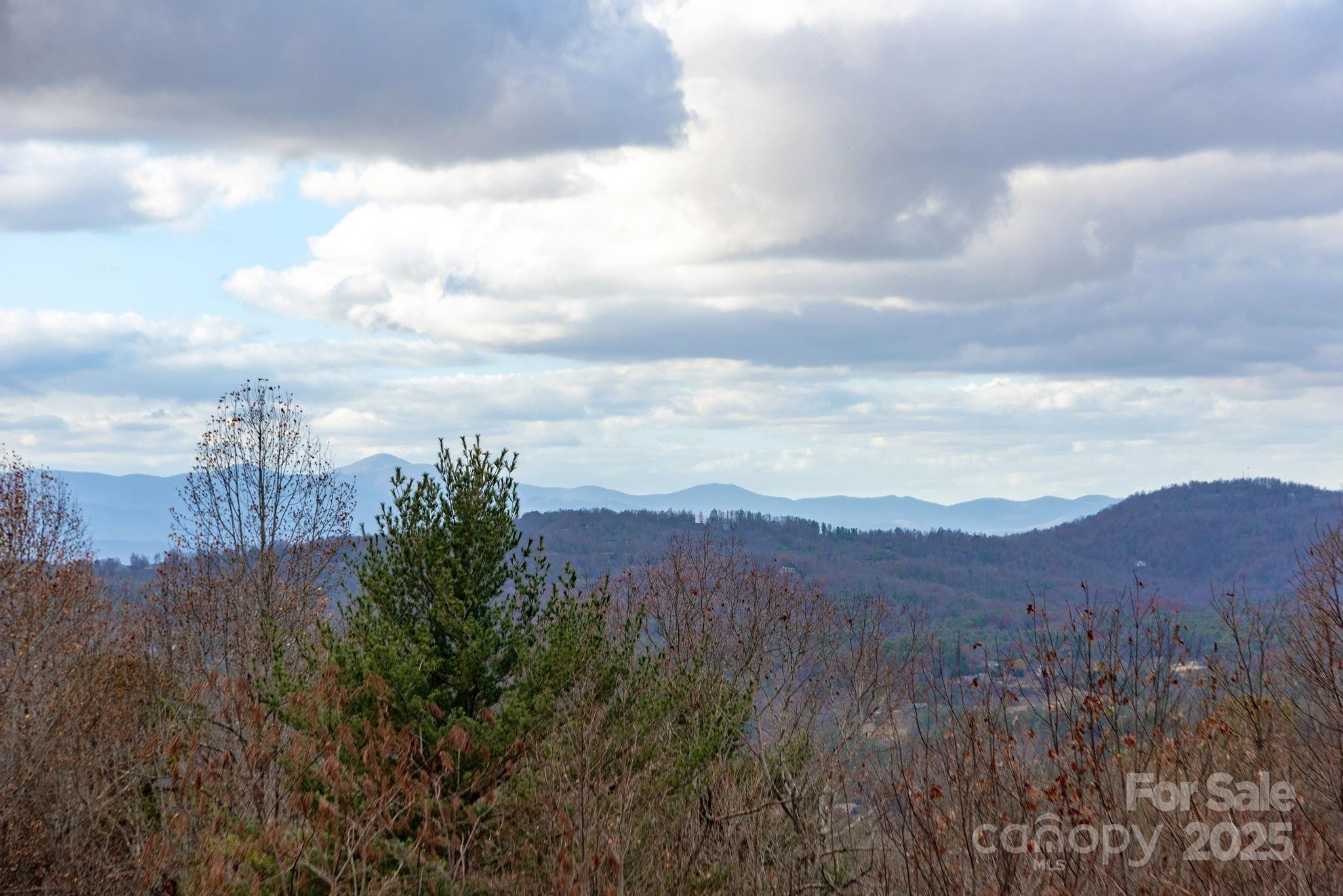 135 Poplar Loop Flat Rock NC 28731