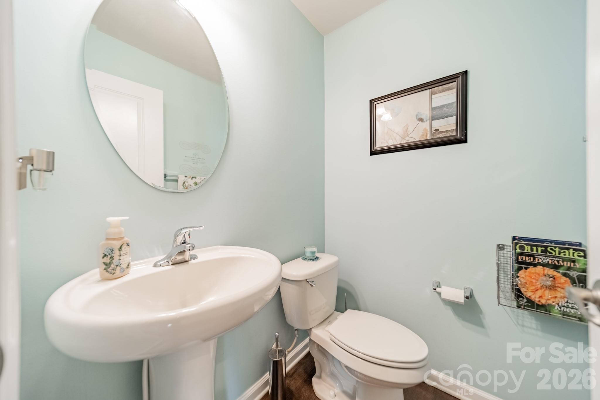 3556 Catherine Creek Place Davidson NC 28036