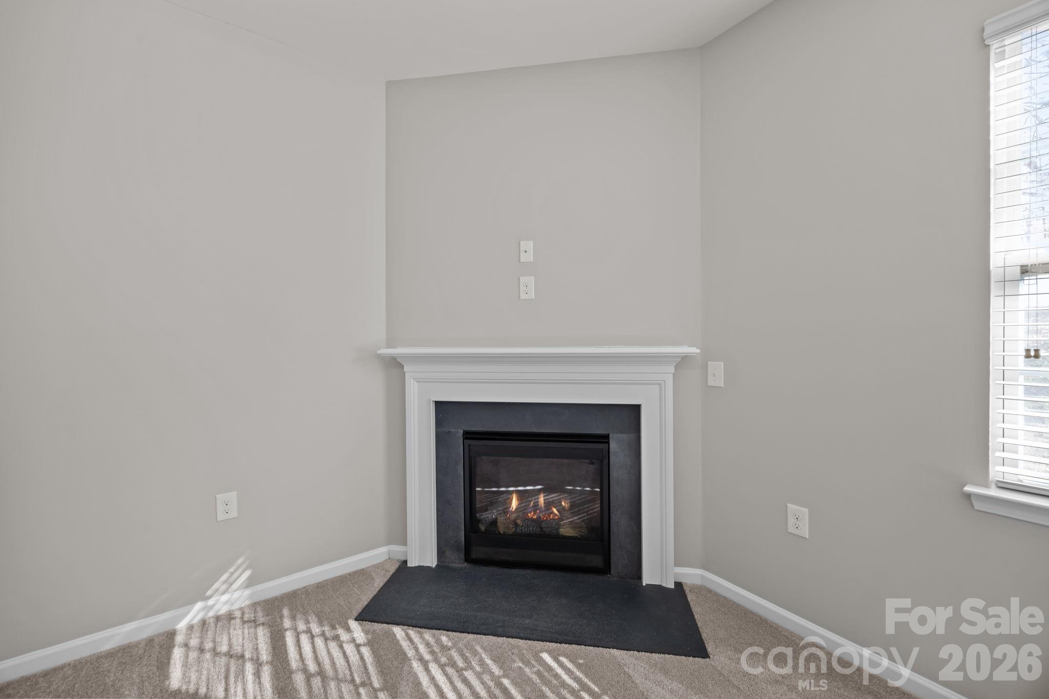 116 Rippling Water Drive Mount Holly NC 28120