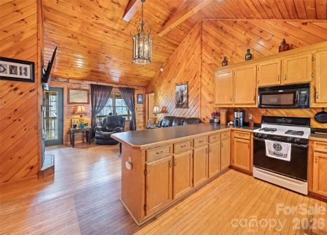 173 Blizzard Ridge Maggie Valley NC 28751