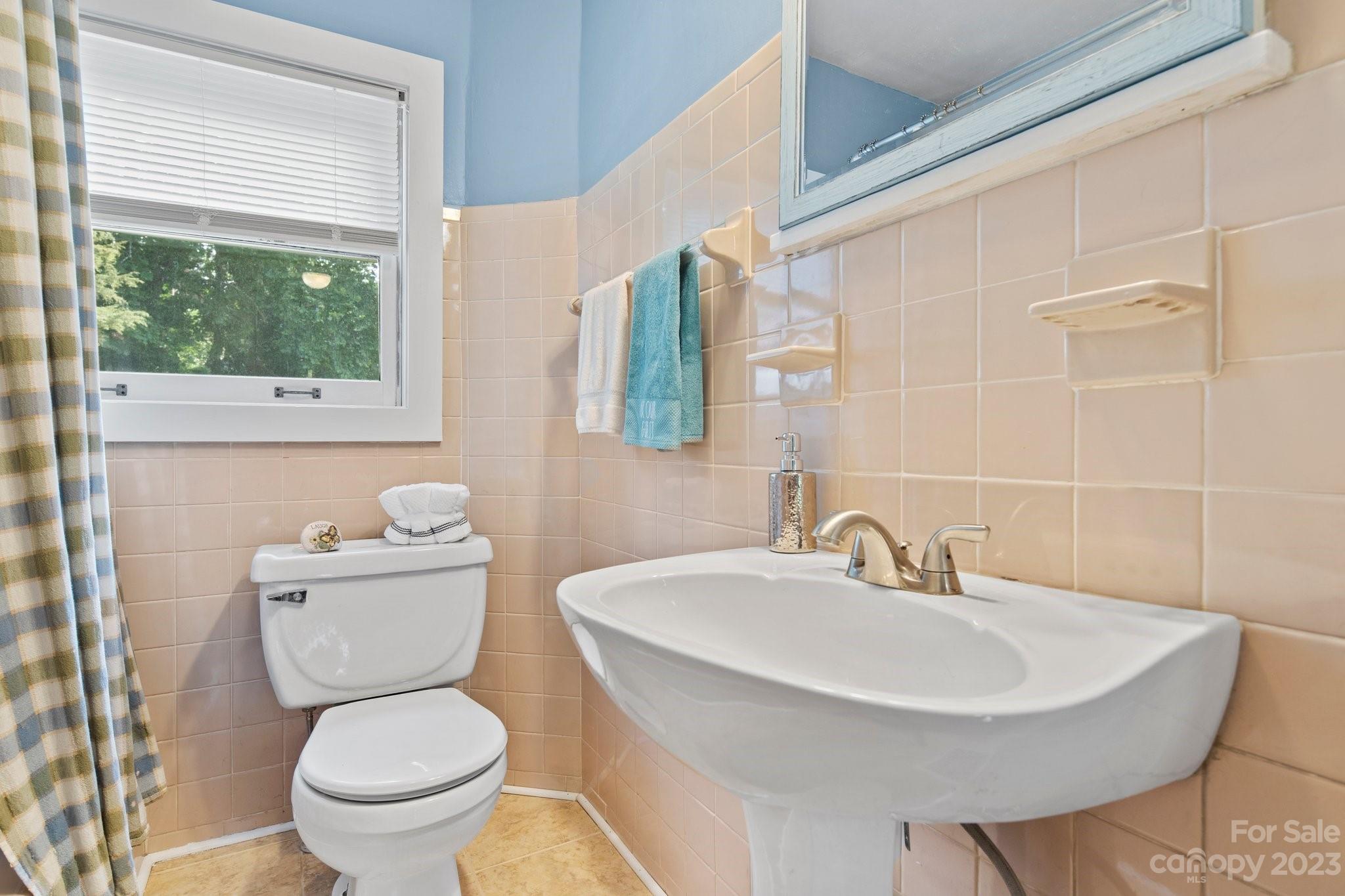 239 Murdock Avenue Asheville NC 28804